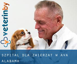 Szpital dla zwierząt w Ava (Alabama)