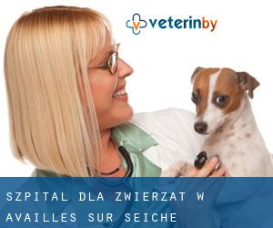 Szpital dla zwierząt w Availles-sur-Seiche