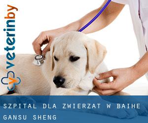 Szpital dla zwierząt w Baihe (Gansu Sheng)