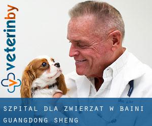 Szpital dla zwierząt w Baini (Guangdong Sheng)