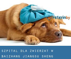 Szpital dla zwierząt w Baizhang (Jiangsu Sheng)