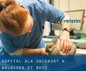 Szpital dla zwierząt w Balaives-et-Butz