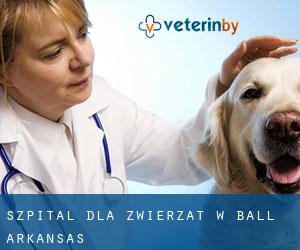 Szpital dla zwierząt w Ball (Arkansas)