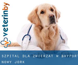 Szpital dla zwierząt w Bayport (Nowy Jork)