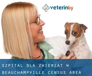 Szpital dla zwierząt w Beauchampville (census area)