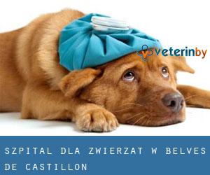 Szpital dla zwierząt w Belvès-de-Castillon