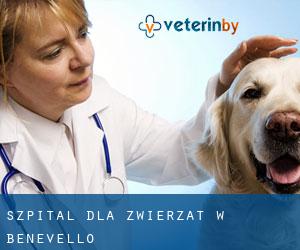 Szpital dla zwierząt w Benevello