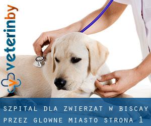 Szpital dla zwierząt w Biscay przez główne miasto - strona 1
