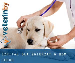 Szpital dla zwierząt w Bom Jesus