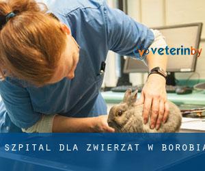 Szpital dla zwierząt w Borobia