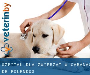 Szpital dla zwierząt w Cabañas de Polendos