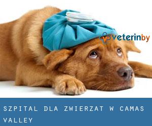 Szpital dla zwierząt w Camas Valley