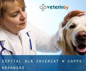 Szpital dla zwierząt w Capps (Arkansas)