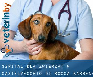 Szpital dla zwierząt w Castelvecchio di Rocca Barbena