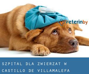 Szpital dla zwierząt w Castillo de Villamalefa