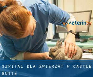 Szpital dla zwierząt w Castle Butte