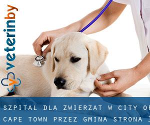 Szpital dla zwierząt w City of Cape Town przez gmina - strona 1