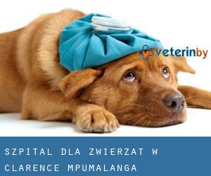 Szpital dla zwierząt w Clarence (Mpumalanga)