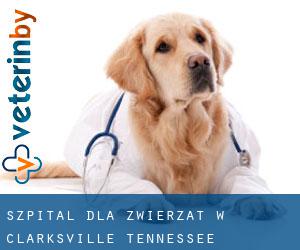 Szpital dla zwierząt w Clarksville (Tennessee)