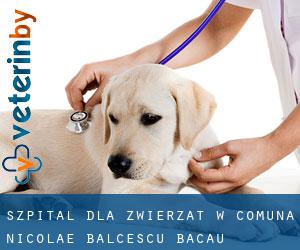Szpital dla zwierząt w Comuna Nicolae Bălcescu (Bacău)