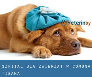 Szpital dla zwierząt w Comuna Ţibana