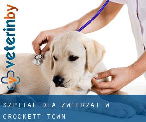 Szpital dla zwierząt w Crockett Town