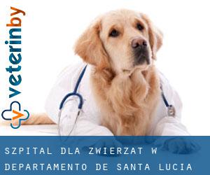 Szpital dla zwierząt w Departamento de Santa Lucía