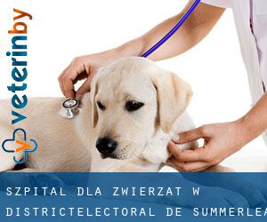 Szpital dla zwierząt w Districtélectoral de Summerlea