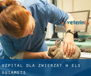 Szpital dla zwierząt w els Guiamets