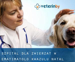 Szpital dla zwierząt w Ematimatolo (KwaZulu-Natal)