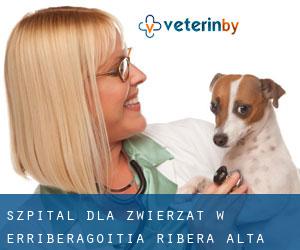 Szpital dla zwierząt w Erriberagoitia / Ribera Alta