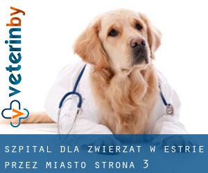 Szpital dla zwierząt w Estrie przez miasto - strona 3