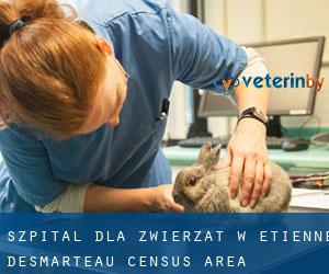 Szpital dla zwierząt w Étienne-Desmarteau (census area)
