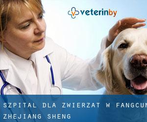 Szpital dla zwierząt w Fangcun (Zhejiang Sheng)