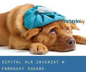 Szpital dla zwierząt w Farragut Square
