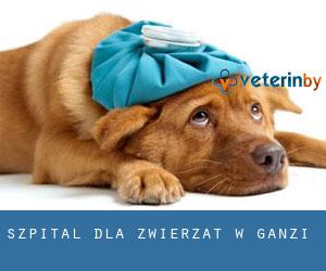 Szpital dla zwierząt w Ganzi