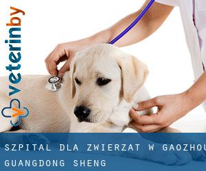 Szpital dla zwierząt w Gaozhou (Guangdong Sheng)