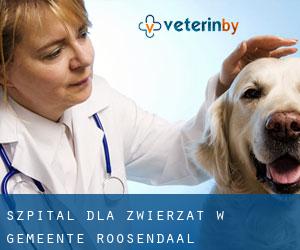 Szpital dla zwierząt w Gemeente Roosendaal