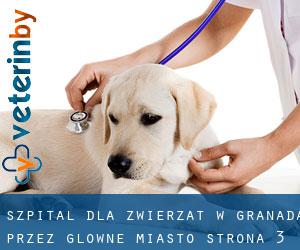 Szpital dla zwierząt w Granada przez główne miasto - strona 3