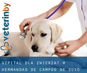 Szpital dla zwierząt w Hermandad de Campoo de Suso