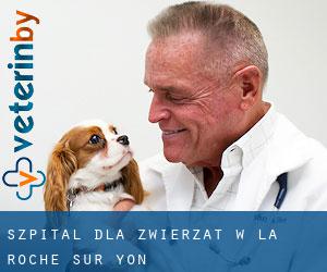 Szpital dla zwierząt w La Roche-sur-Yon