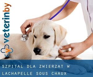 Szpital dla zwierząt w Lachapelle-sous-Chaux