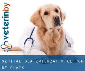 Szpital dla zwierząt w Le Pont-de-Claix