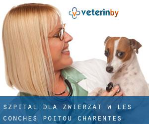 Szpital dla zwierząt w Les Conches (Poitou-Charentes)
