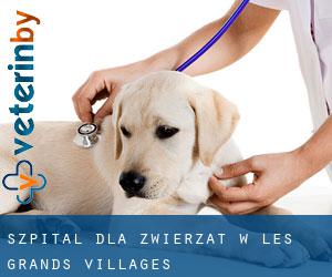 Szpital dla zwierząt w Les Grands Villages