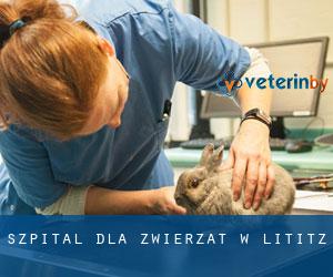 Szpital dla zwierząt w Lititz