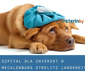 Szpital dla zwierząt w Mecklenburg-Strelitz Landkreis przez główne miasto - strona 1