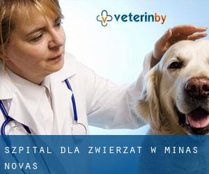 Szpital dla zwierząt w Minas Novas