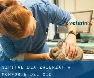 Szpital dla zwierząt w Monforte del Cid