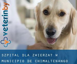 Szpital dla zwierząt w Municipio de Chimaltenango